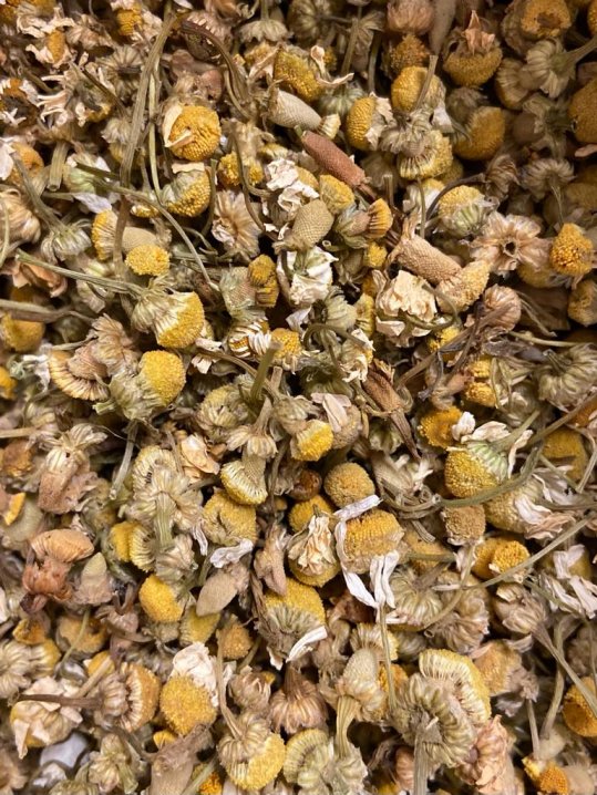 Chamomile